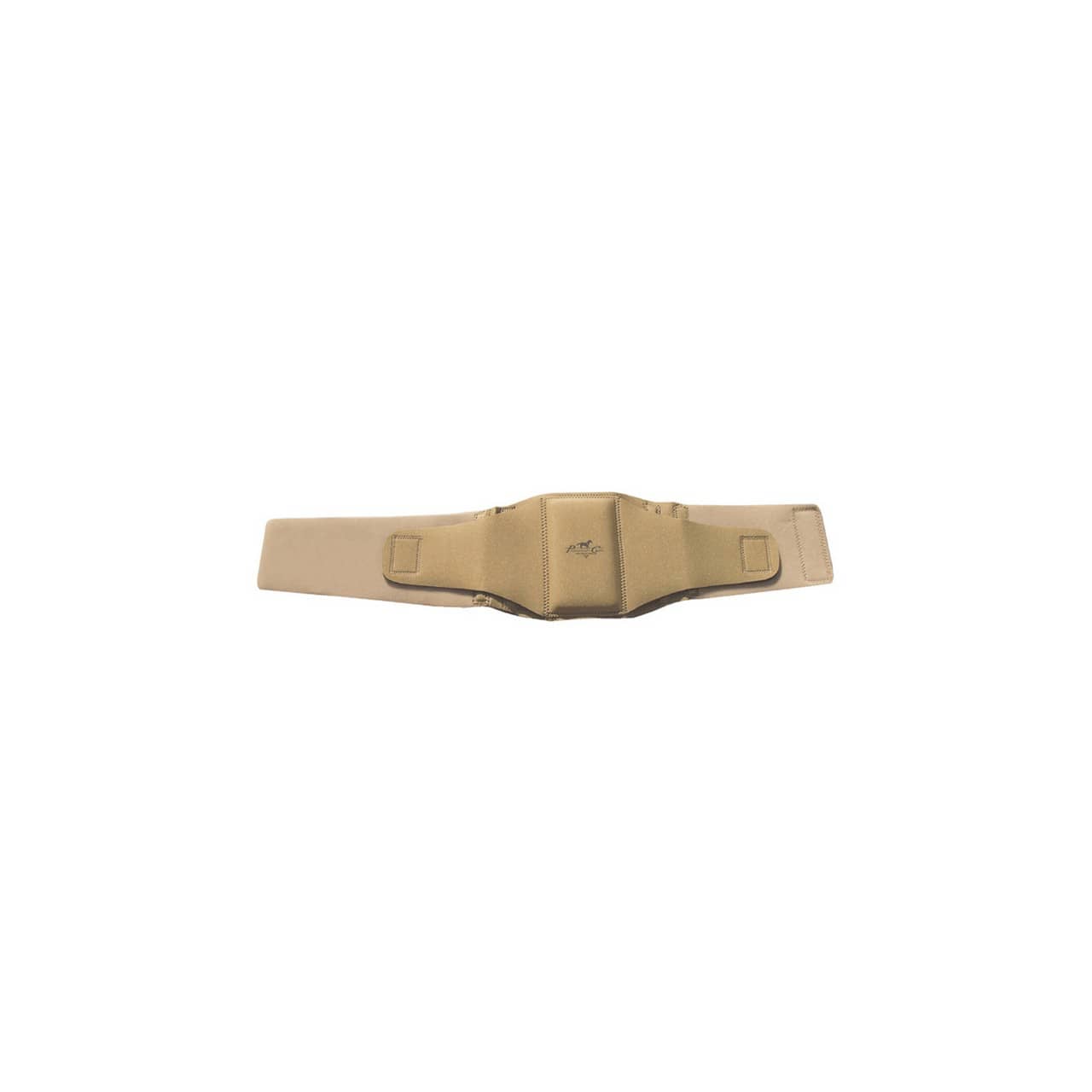 Fascia schiena cavaliere Professional's Choice