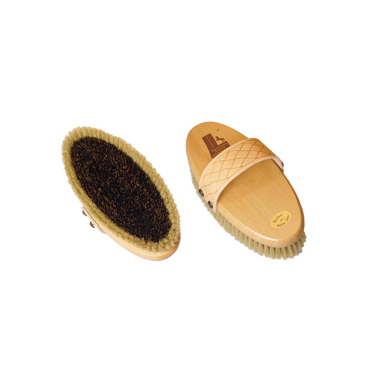 Spazzola Leistner bilivello, fascia basket