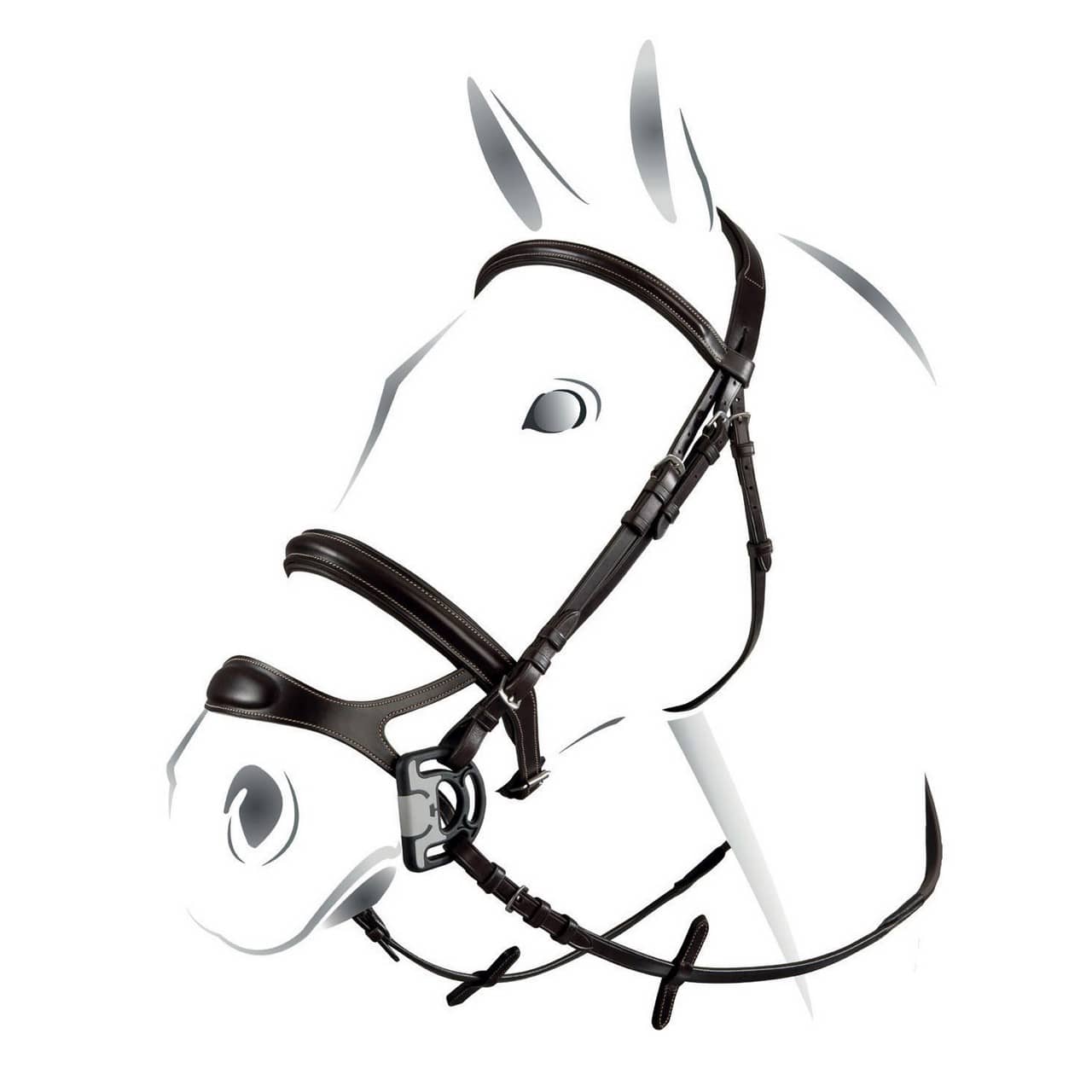 Testiera Equestro modello Combined