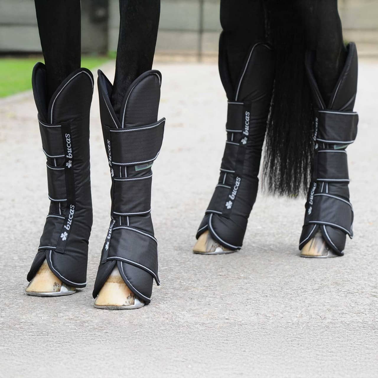 Freedom Boots Bucas, paracolpi da trasporto