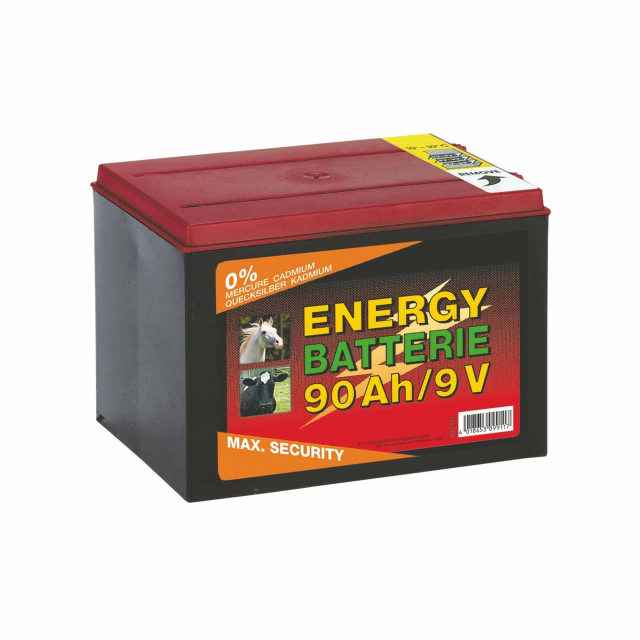 Batteria 10.000h