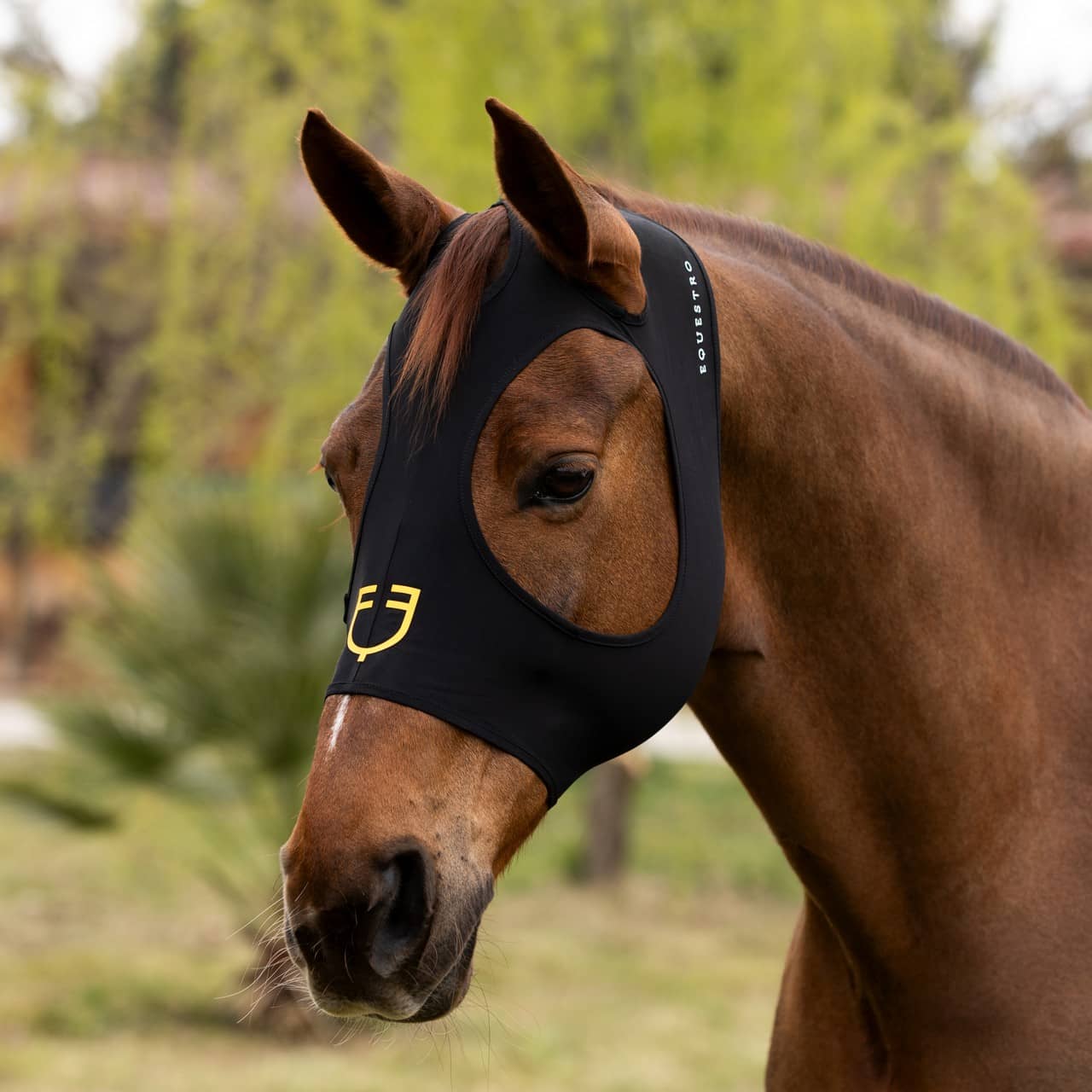 Maschera antimosche elastane senza rete occhi e orecchie