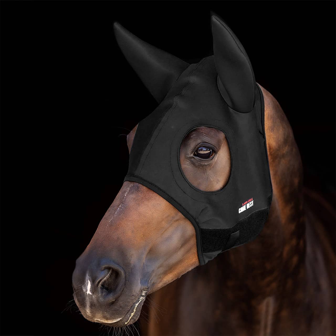 Titanium Mask come best with ears