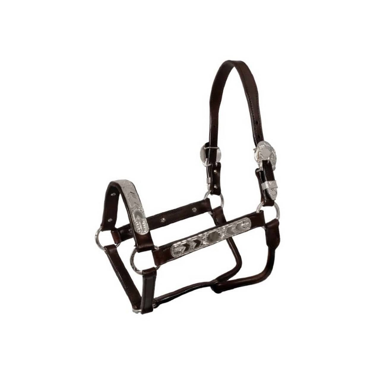 Cavezza Pool's con argenti ELHT/00935