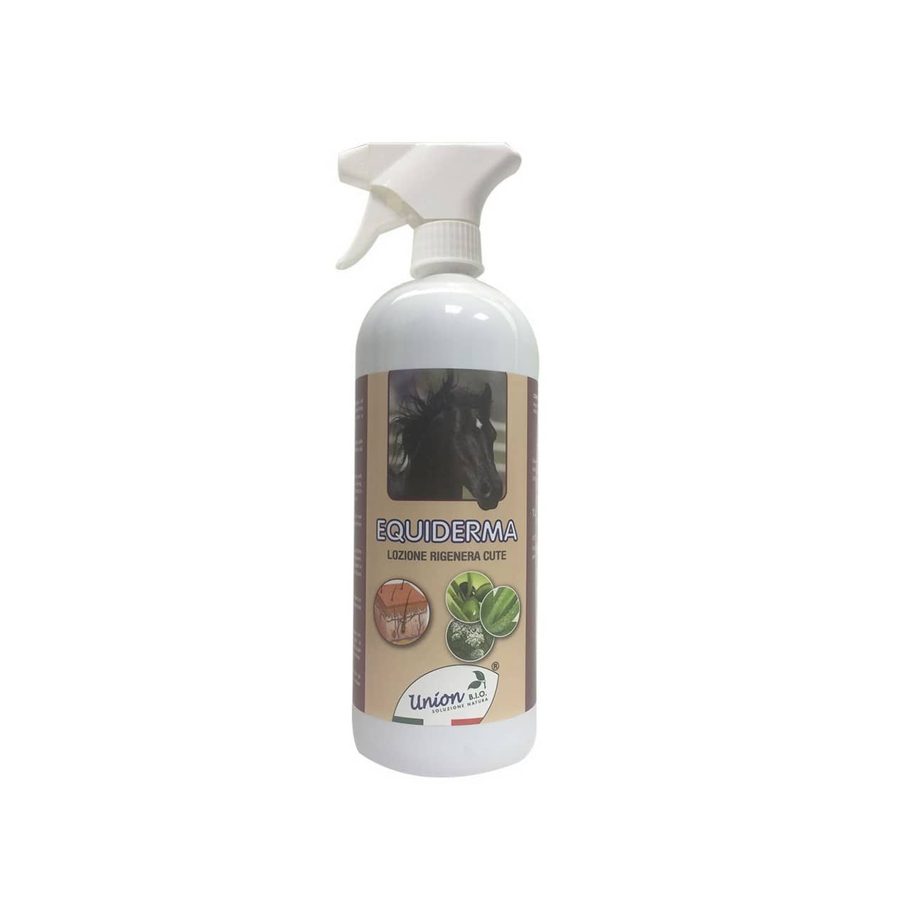 Equiderma (1 l)