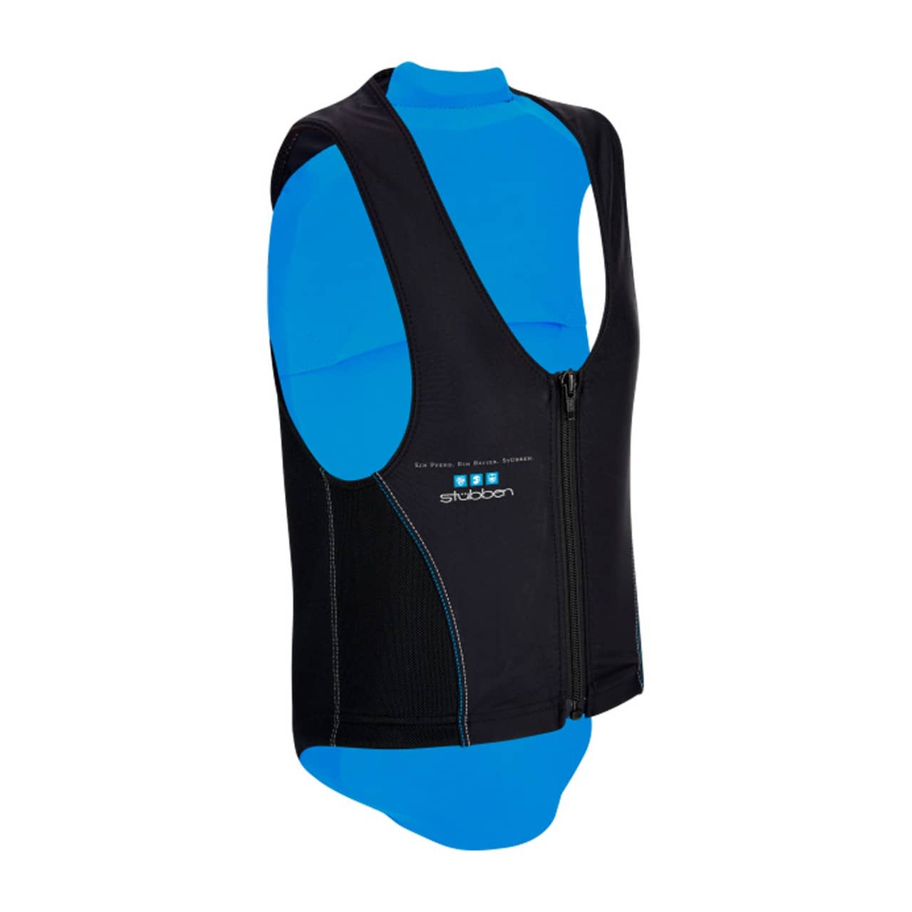 Back protector