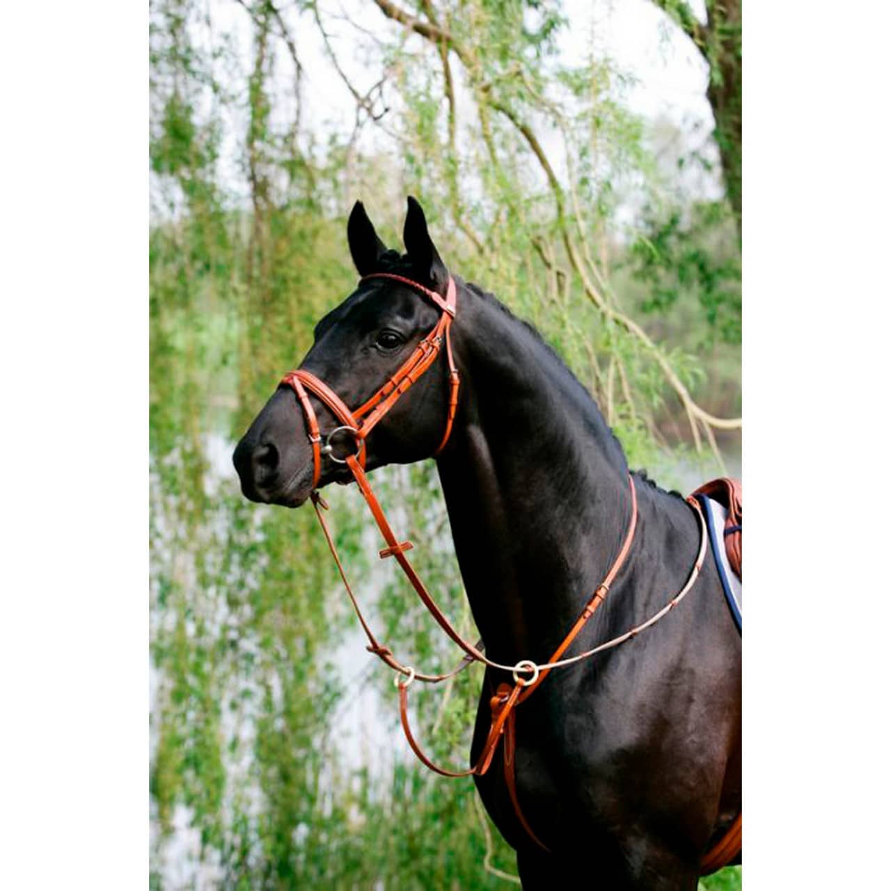 Ringmartingal