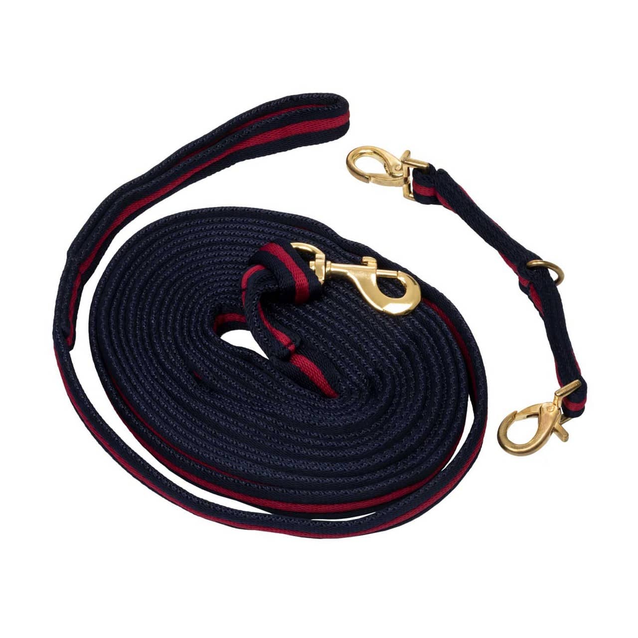 Padded Nylon Lunge Rein with attachment to halter