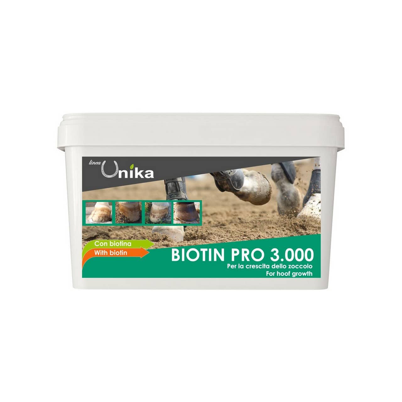 Biotin Pro 3000 (1 kg)