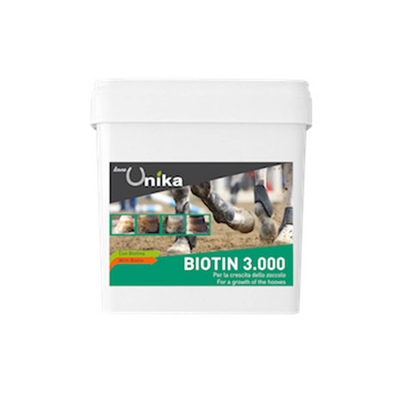 Biotin Pro 3.000 (2 kg)