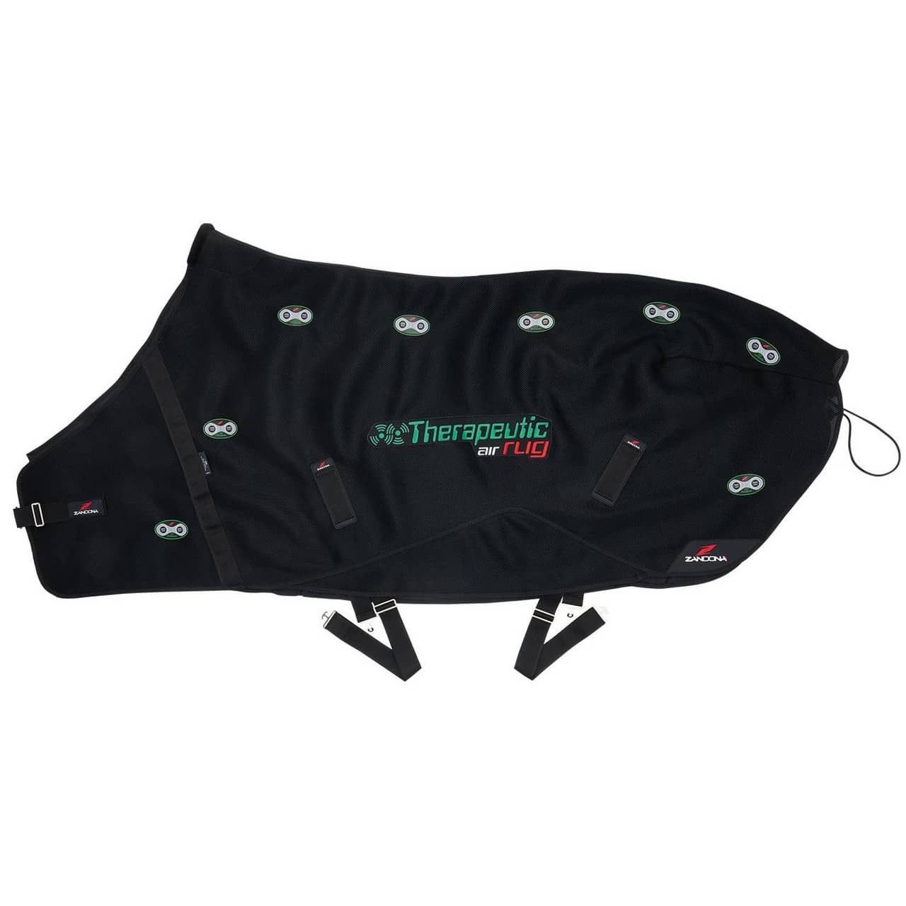 Therapeutic Air Rug