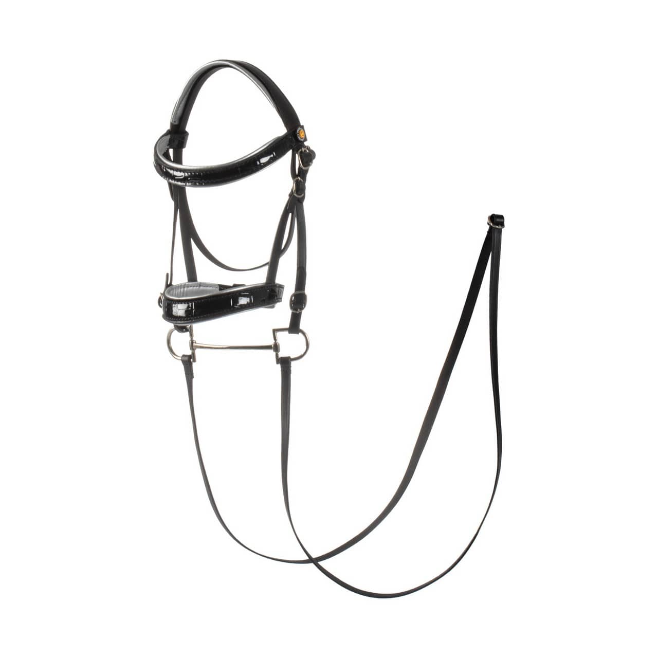 Briglia per hobby horse cuoio lucido
