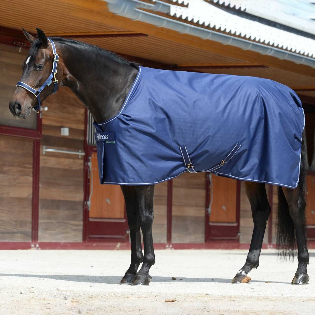 Coperta Irish Stable Extra, vista 1