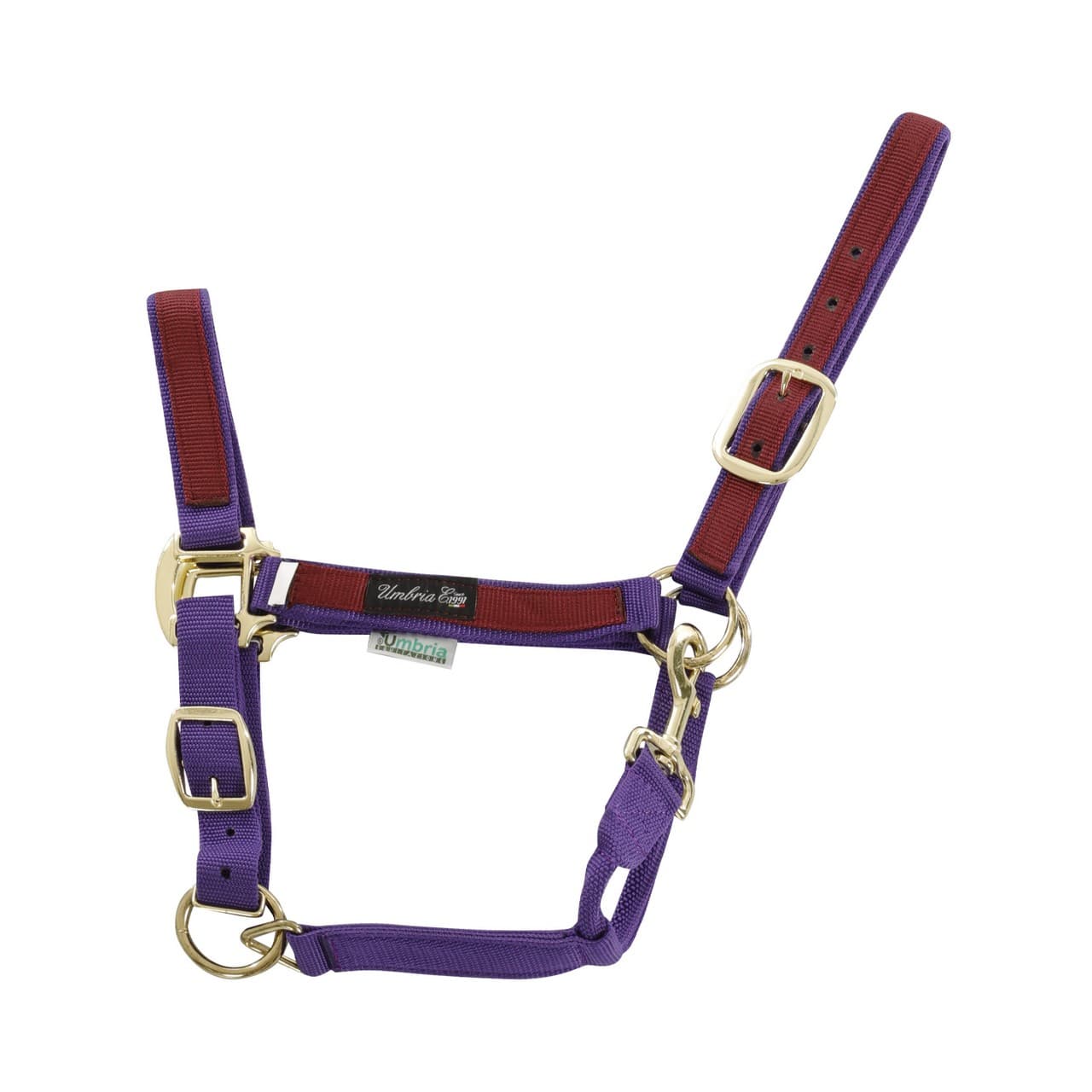 Purple Burgundy