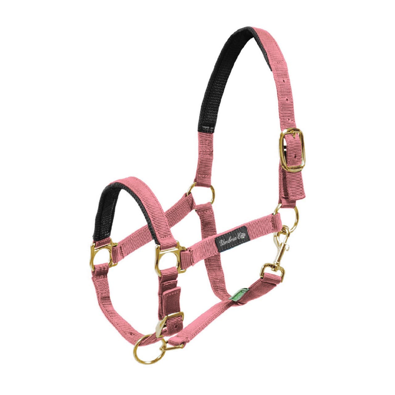 Cavezza in nylon con rinforzo in neoprene, vista 1