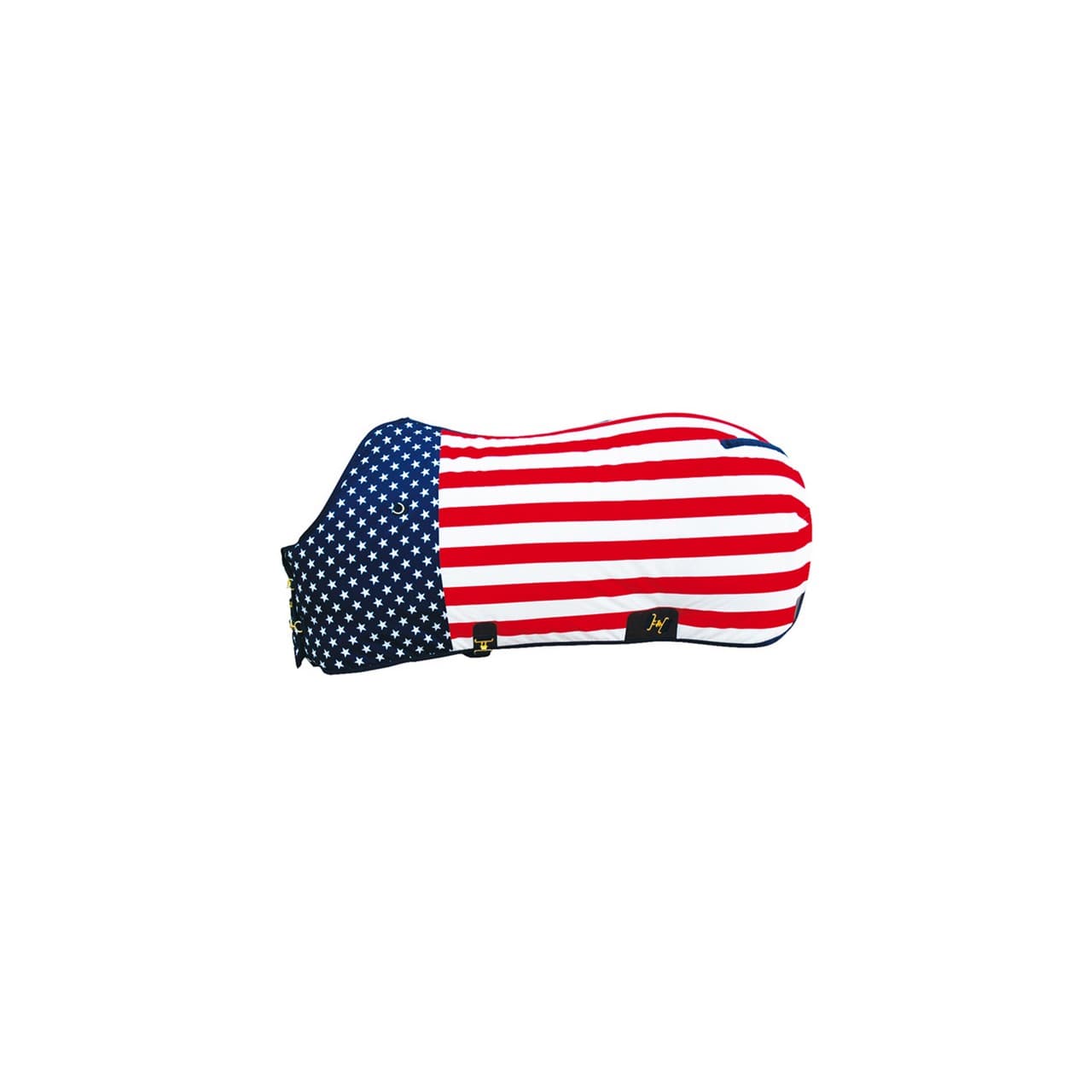 Usa Flag