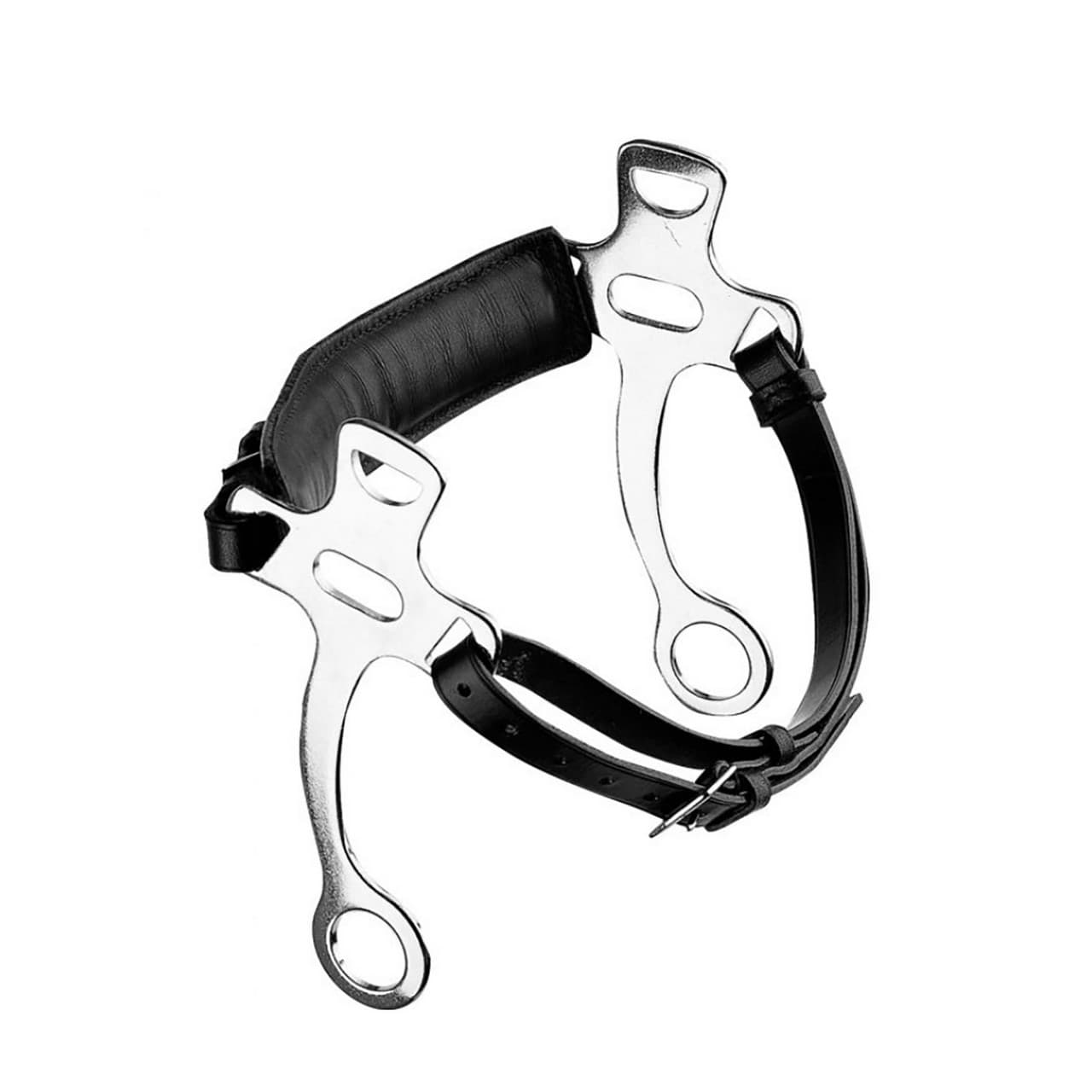 Hackamore black, vista 1