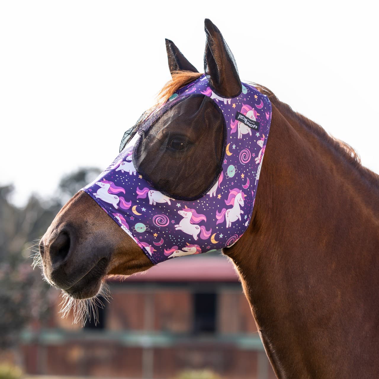 Space Unicorn