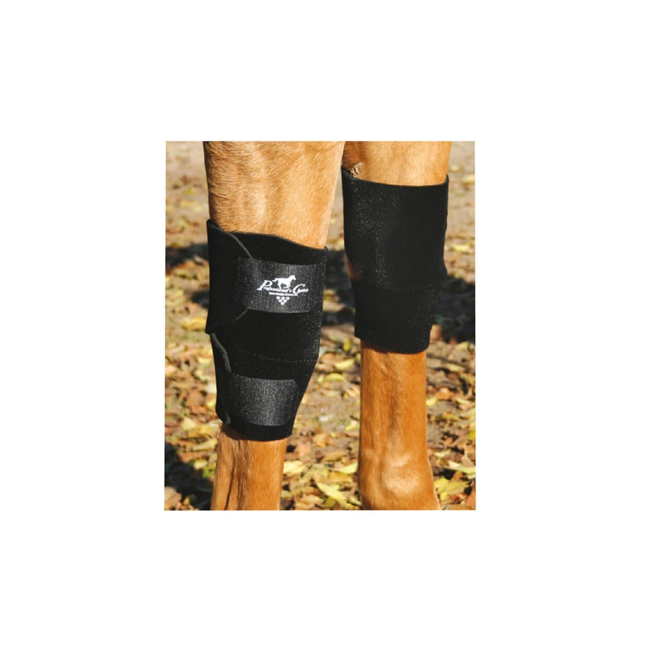 Ginocchiera per cavallo, Professional's Choice KB101, vista 1