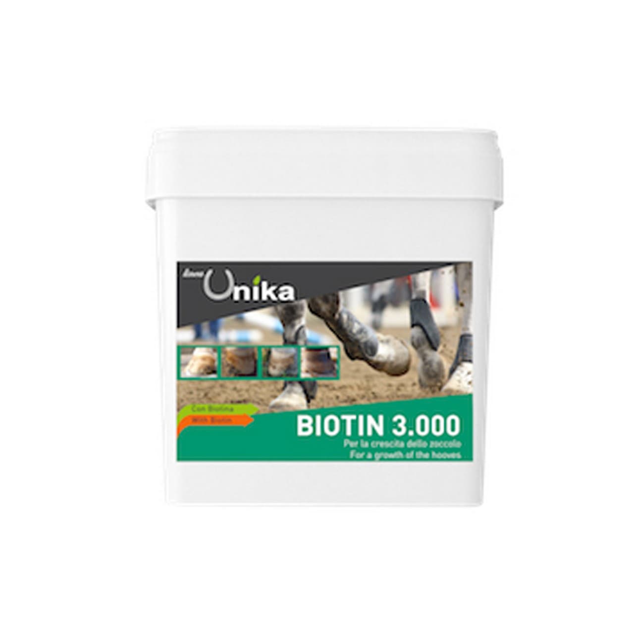 Biotin Pro 3.000 (2 kg), vista 1
