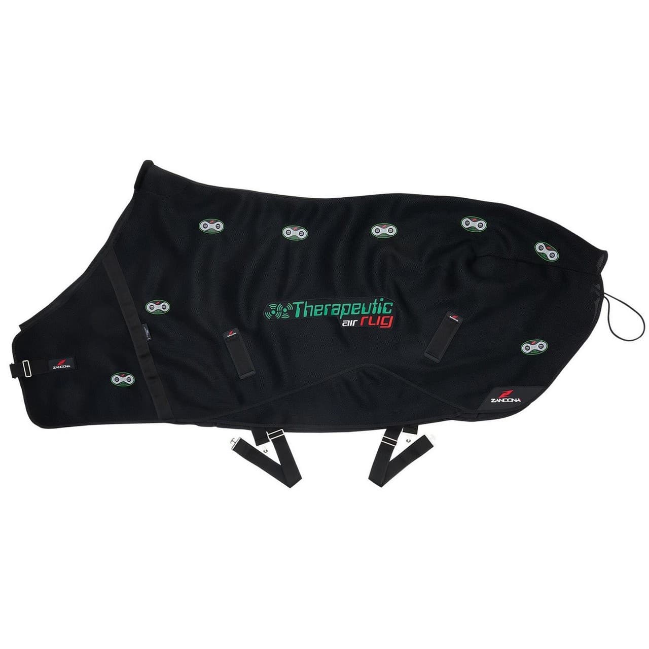 Therapeutic Air Rug, vista 1