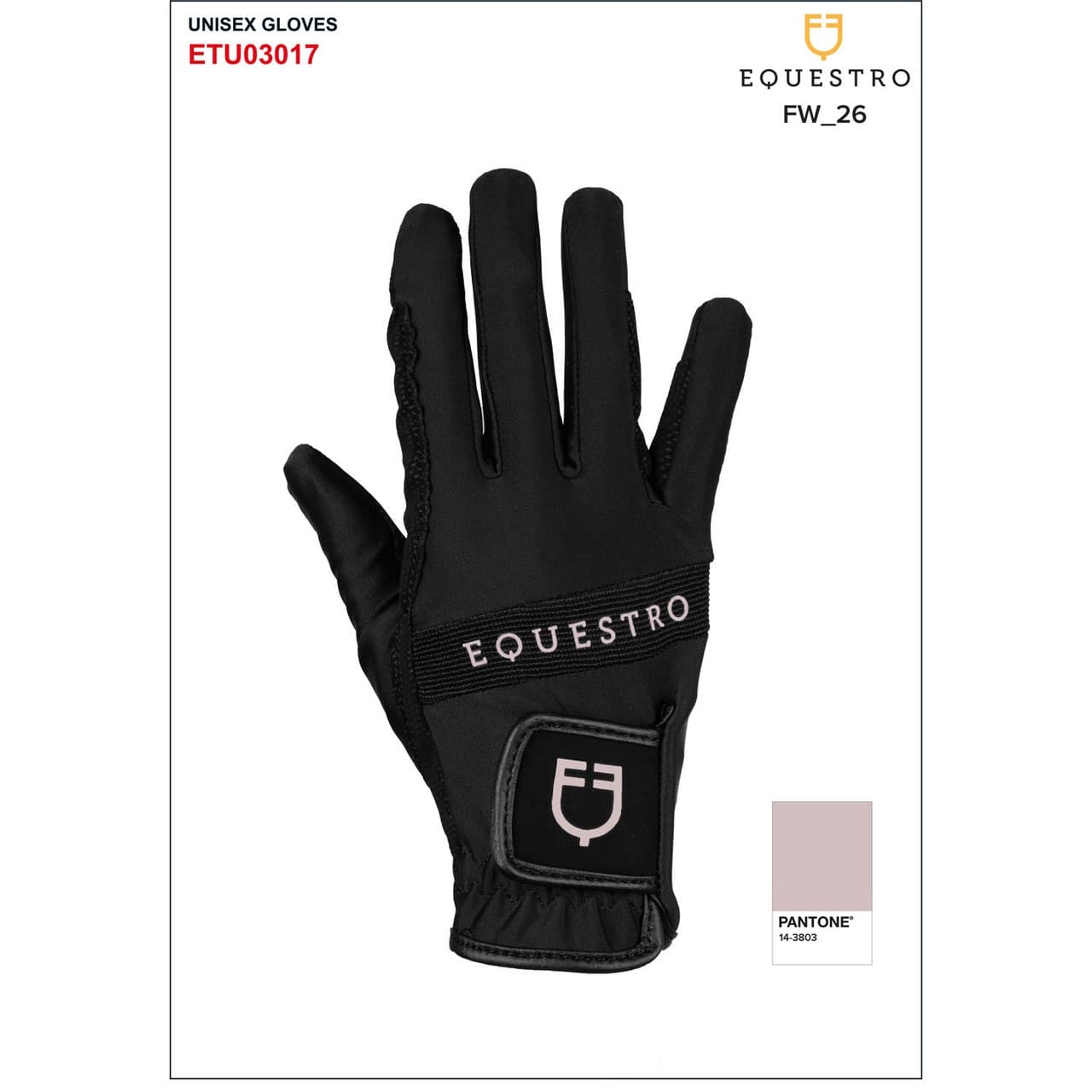 Black Hushed Violet