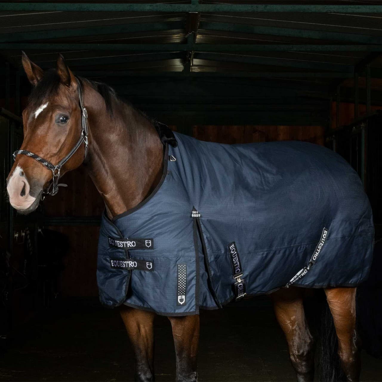 Coperta da paddock Nevada 250 gr in tessuto antistrappo, vista 1