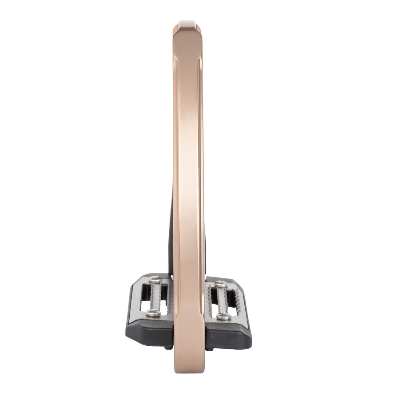 Titanium Rose