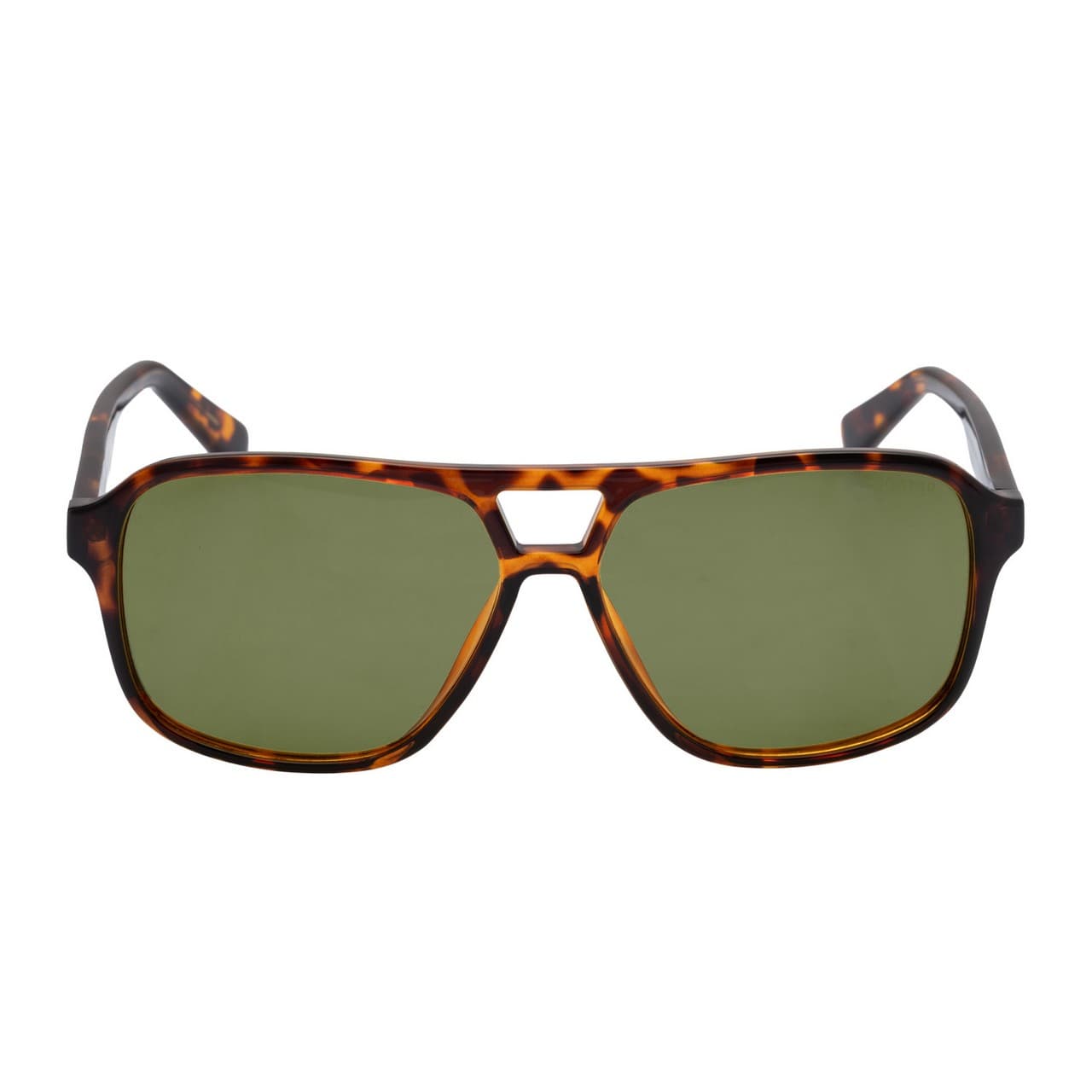 Brown Tort Shiny Green