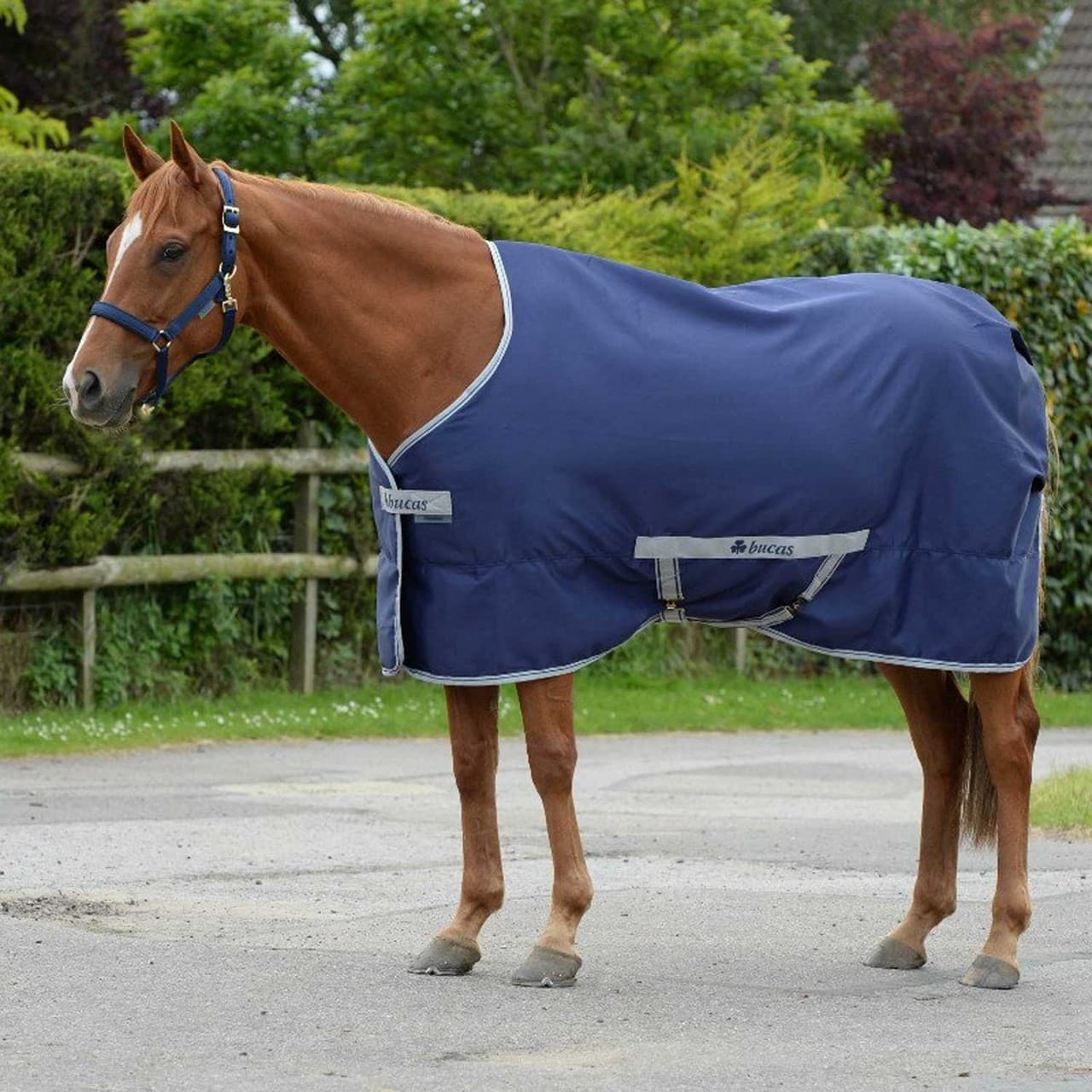 COPERTA CANVAS BUCAS Freedom Twill Sheet, vista 1