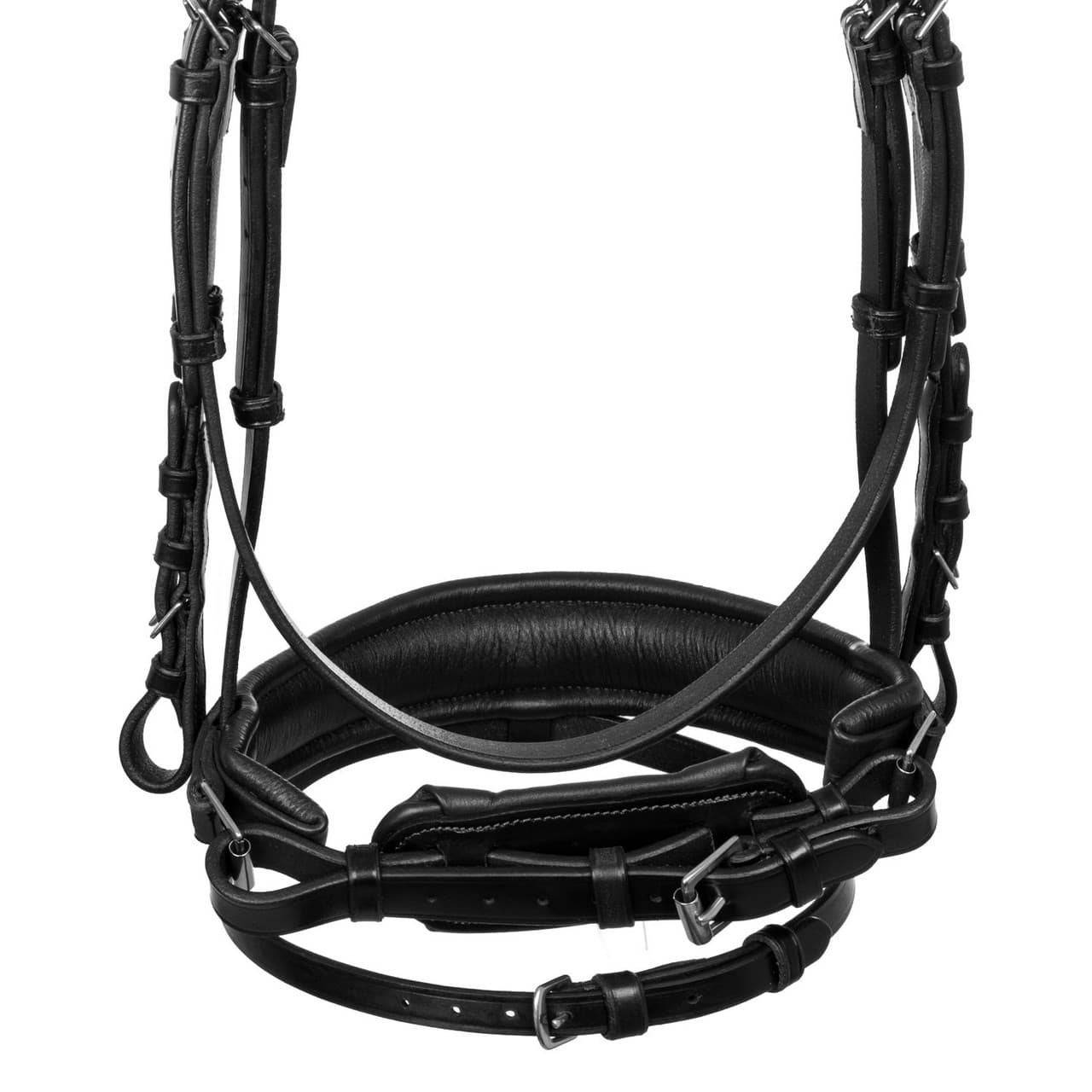 Testiera Equestro anatomica con nasalina imbottita, vista 7