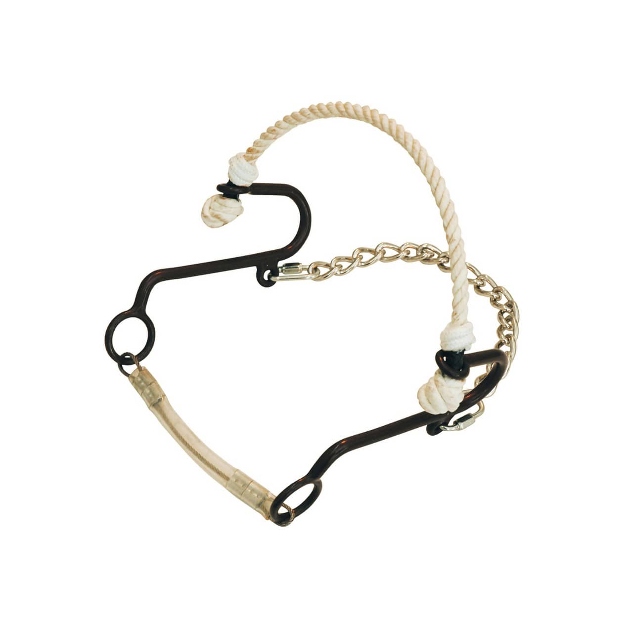 Short Hackamore, ferro brunito, Rawhide Pool's