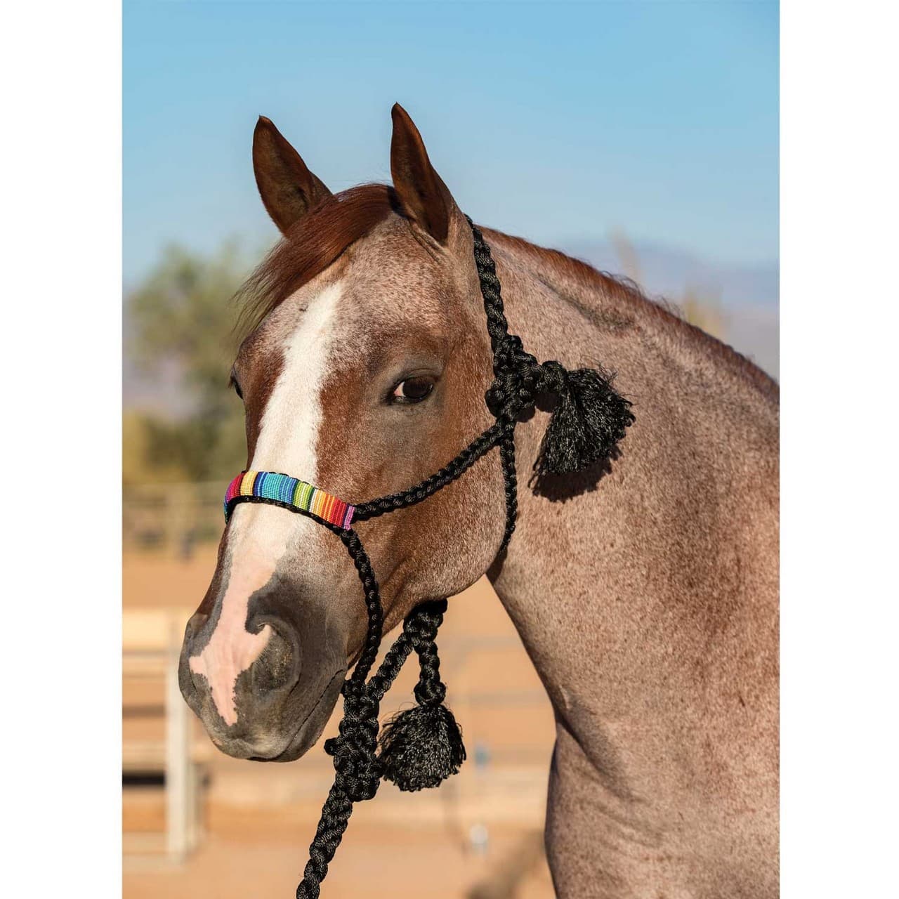 Cowboy Braided Halter, vista 1