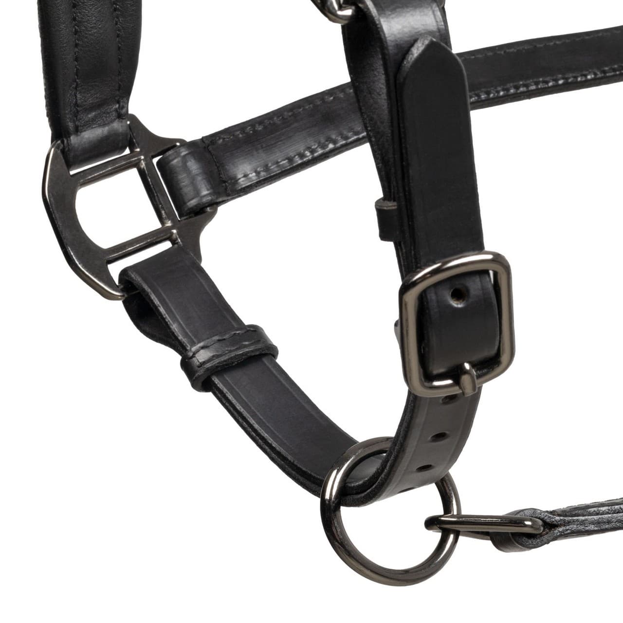 Cavezza in cuoio con piping glitterato, vista 4